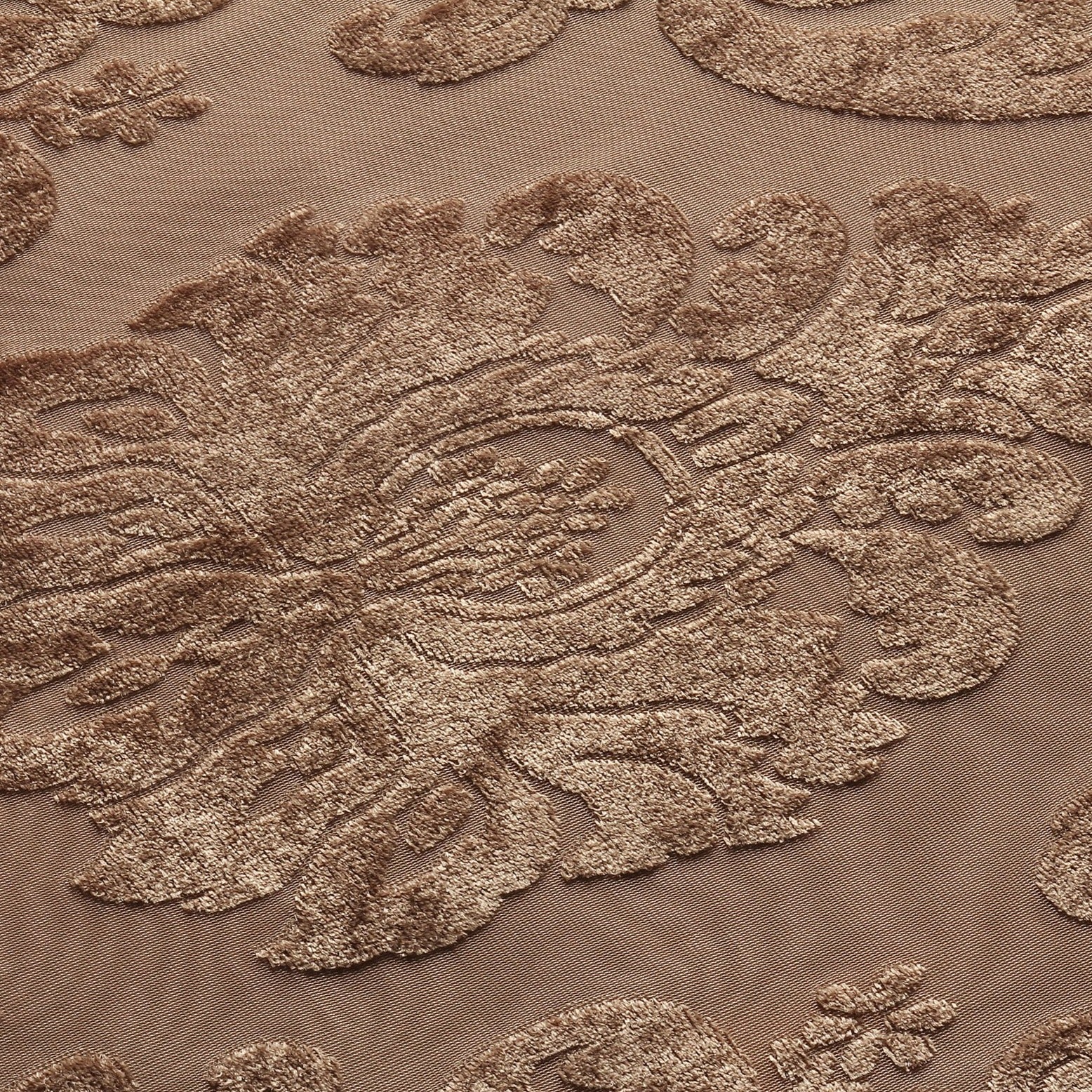 Desert Sand